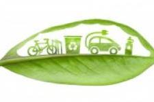 Sustainability Leaf