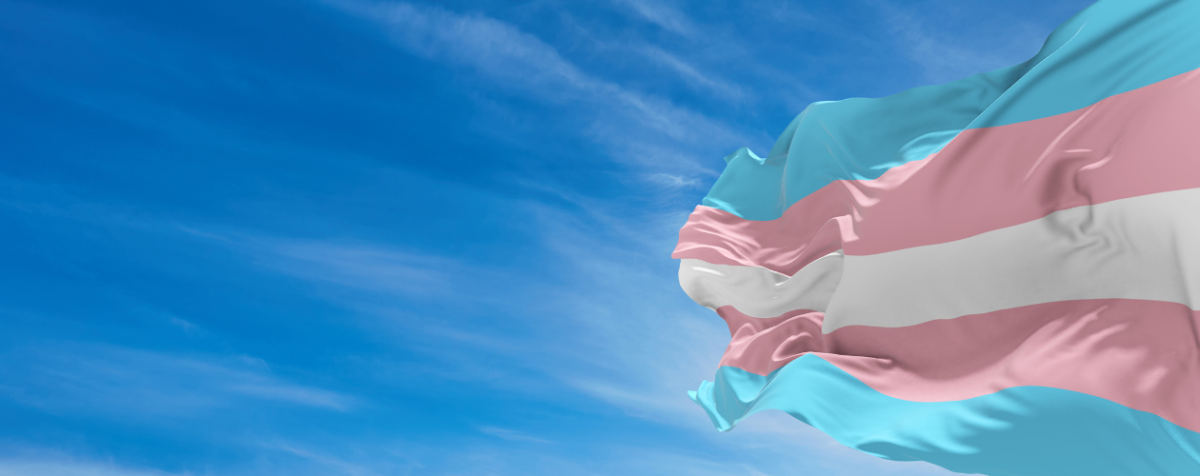 Trans flag